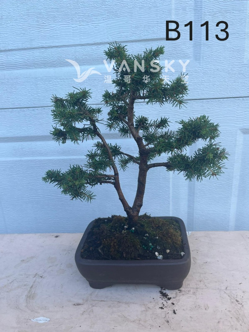 250920112652_B113 35 - 25-09.JPG